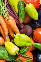 Harvest of different vegetables on grass