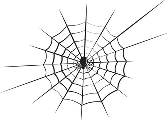 Web and spider. Element designfor Happy Halloween.