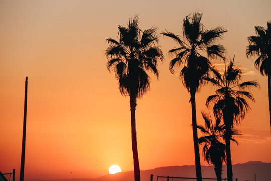 sunset at the beach Venice California