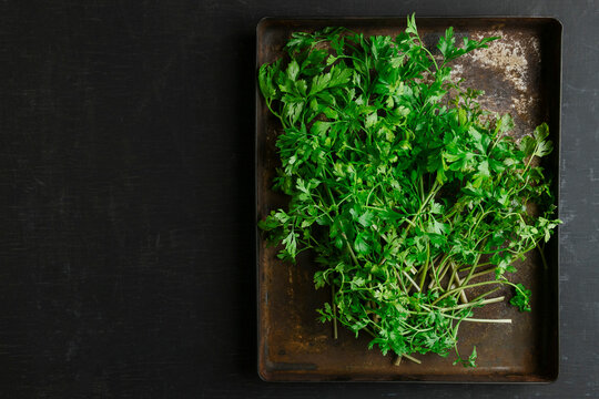Parsley herb on a tray. Parsley leaf top view, flat lay. Fresh parsley. Food background. Parsley harvest on an old tray.