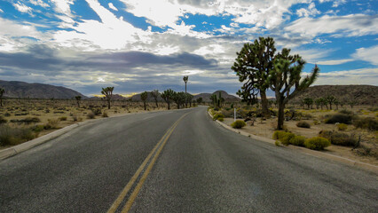 Driving Through Joshua Tree National Park