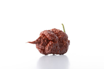 Chocolate Carolina Reaper Pepper Chili