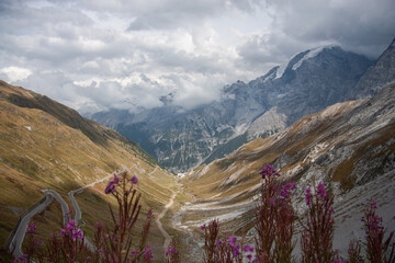 View of the Stelvio pass in Alps with the many turns of it, incredible landscapes and a mountain...