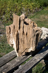 Ancient old petrified wood, excavation, minerals, as nice background Narrow focus line, shallow depth of field macro