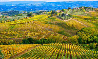 The beautiful vineyards in Tuscany