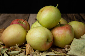 Apples, fresh harvest on a wooden background.Fresh harvest of apples.