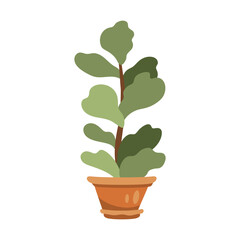 Illustration of a houseplant in a flowerpot