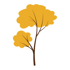 Autumn tree on white background for postcards or banners
