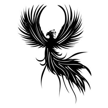phoenix bird on white background silhouette isolated, vector