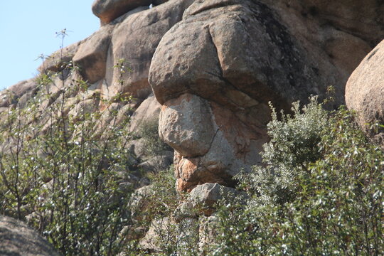 Pareidolia roca con forma de cara en las montañas de la pedriza. Manzanares el real, Madrid