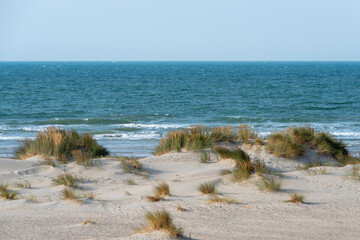 Mer du Nord sous le soleil d'été et plage sauvage
