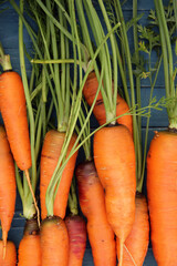 Fresh and sweet carrots on a wooden background