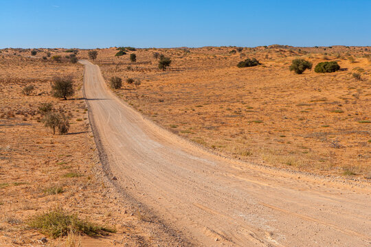Gravel road through the Kalahari desert, Kgalagadi National Park, South Africa