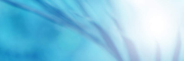 Light blue Leaf background. Blurred leaves and circular bokeh. Abstract wallpaper for backdrop and design