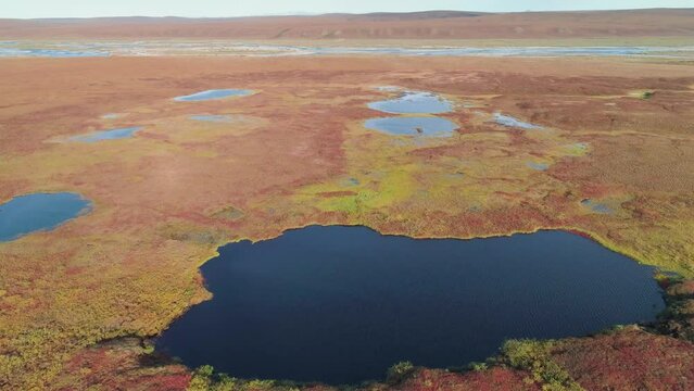 Slow forward drone flight over the tundra of the north slope in autumn colors with swamps, lakes and a river, Alaska, USA
