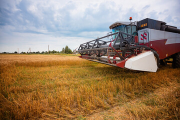 Harvester machine to harvest wheat field working. Combine harvester agriculture machine harvesting...
