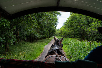 Killarney National Park with a scenic tour from Killarney Jaunting Cars. Explore national park Ireland with horse.