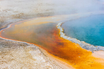 Yellow Stone National Park