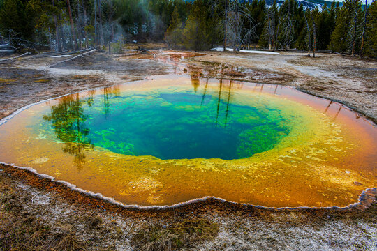Yellow Stone National Park