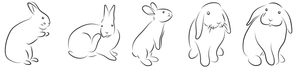 Kaninchen Ostern Konturen Vektor Grafik | Rabbits Drawnings Vector Graphic