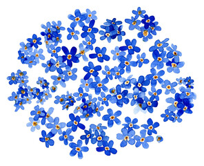 Watercolor frame of forget-me-not wildflowers on a transparent background