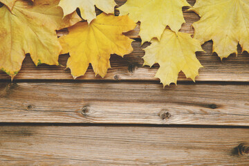 Naklejka na ściany i meble Autumn yellow leafs with copyspace on brown wooden background