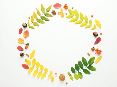 Autumn leafs with berries, acorns, chestnuts in shape of circle on white background