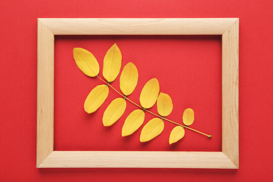 Autumn leafs with wooden frame on red background