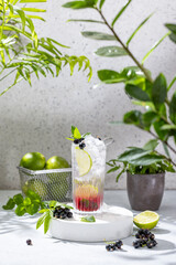 Black Currant Mojito Cocktail. Elegant glass filled with cocktail or mocktails surrounded by ingredients on gray table surface