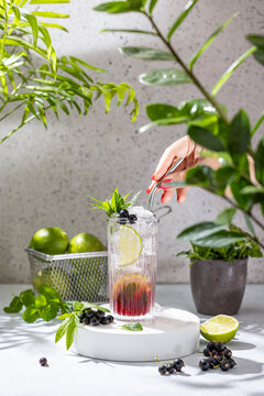 Real woman preparing Black Currant Mojito Cocktail in highball glass. Elegant glass filled with cocktail or mocktails surrounded by ingredients on gray table surface