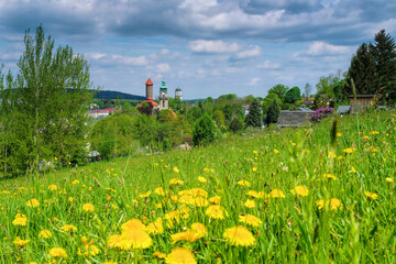 Auerbach im  Vogtland im Frühling - the town Auerbach in spring, Landscape Vogtland - 529897134