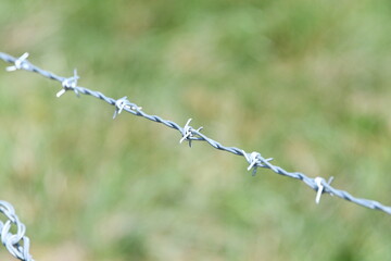Barbed Wire