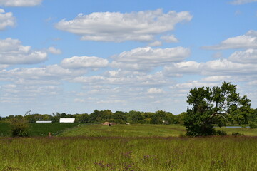 Farm Field