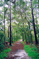 Violet Cury Preserve in Tampa, Florida