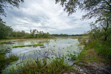 Violet Cury Preserve in Tampa, Florida