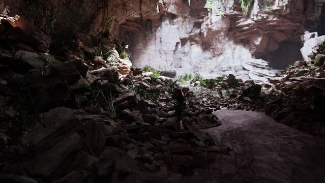 View from inside a dark cave with green plants and light on the exit