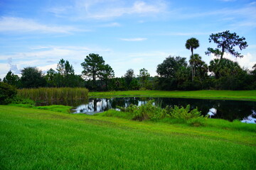 Fototapeta na wymiar A beautiful community pond or lake
