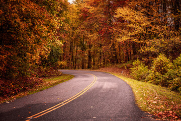 Obraz premium Fall Drive Along the Blue Ridgeway Parkway
