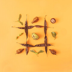A tic tac toe game made with green and brown autumn leaves and plants against orange background....