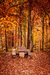 Fall Drive Along the Blue Ridgeway Parkway