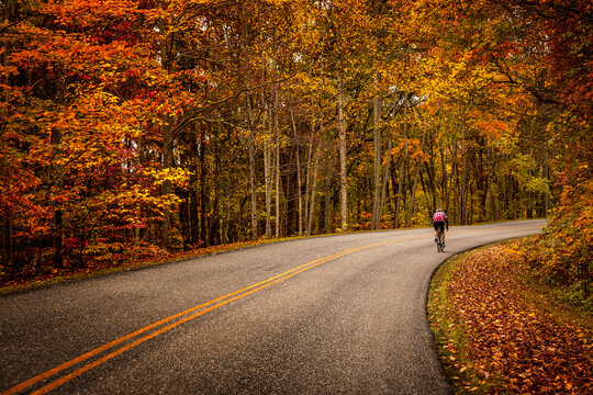 Fall Drive Along the Blue Ridgeway Parkway