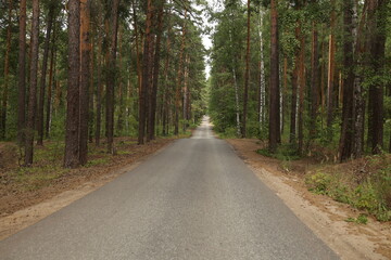 road in the woods