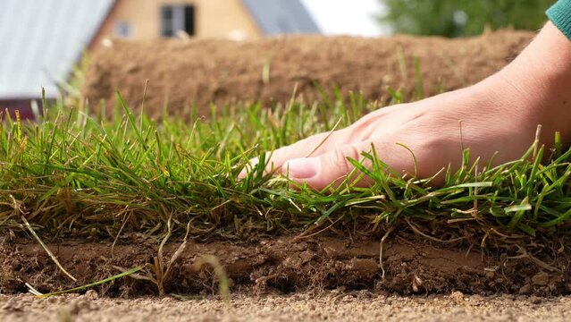 Man touches the grass on the turf with his hand, checking the quality. Worker examines the turf. Farmer palm stroking sample of lawn close-up.
