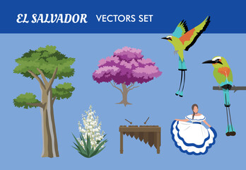 VECTORS. El Salvador National symbols. Great for the independence day, cultural and patriotic events. Isolated graphics. - obrazy, fototapety, plakaty