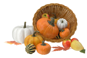 pumpkin and autumn leaves