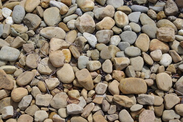 stones and pebbles on the beach