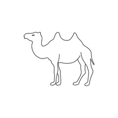 Camel animal line icon simple vector