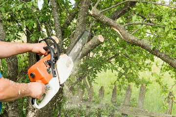 Cutting branches with a chainsaw