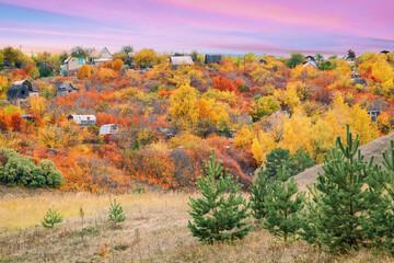 autumn landscape with colorful autumn trees with wooden houses on the background of beautiful sunset sky with colorful clouds