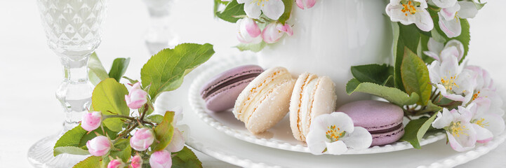 Naklejka na ściany i meble Beautiful composition with delicious French macarons and spring flowers in a white cup. Sweet dessert, early spring white and pink flowers, wedding decor, bride morning. Banner